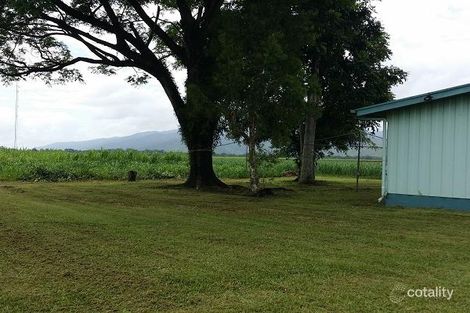 Property photo of 122 Kenny Road Aloomba QLD 4871