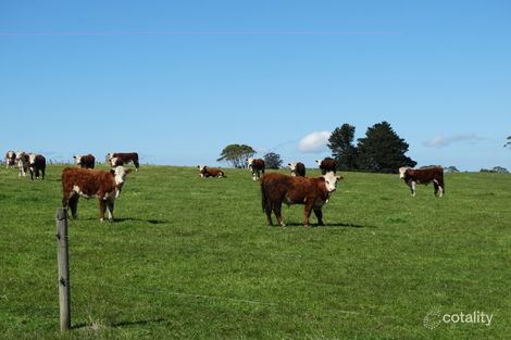 474 Mount Hicks Rd, Mount Hicks, TAS 7325