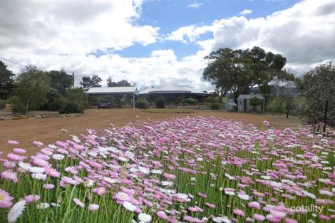 Property photo of 6 Plaudit Street York WA 6302