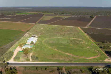 693 Thiele Rd, Loveday, SA 5345