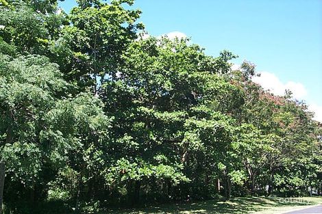 9-33 Buckley St, Yorkeys Knob, QLD 4878