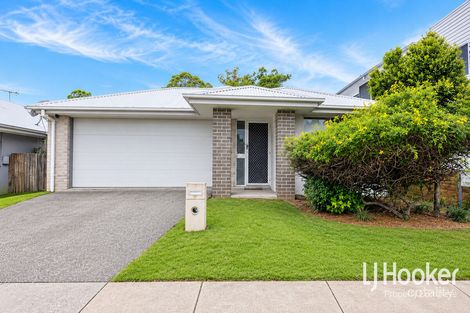 Property photo of 11 Cook Lane Logan Reserve QLD 4133