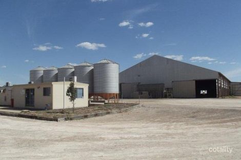 105 Westbury Rd, Trangie, NSW 2823