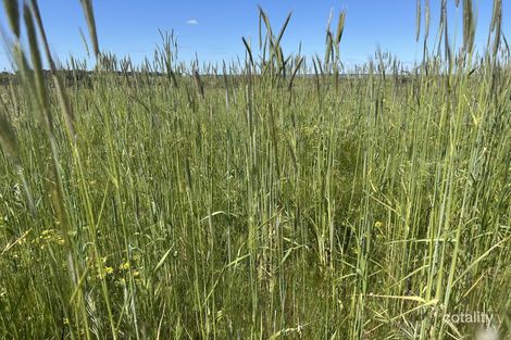 2898 Gillingarra Rd, Mogumber, WA 6506