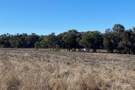 129 Newell Hwy, Gilgandra, NSW 2827