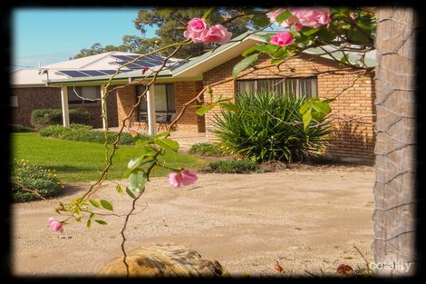 Property photo of 173 Long Street Warialda NSW 2402