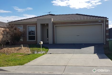 Property photo of 12 Elderberry Way Pakenham VIC 3810