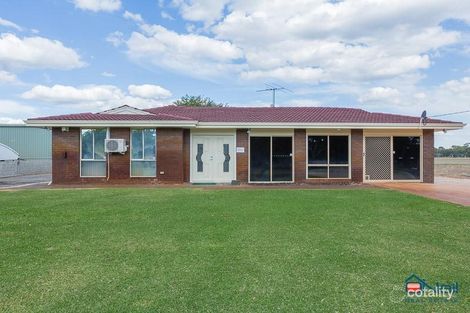 53 Brentwood Rd, Wattle Grove, WA 6107