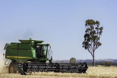 3531 Welbungin-Wialki Rd, Welbungin, WA 6477