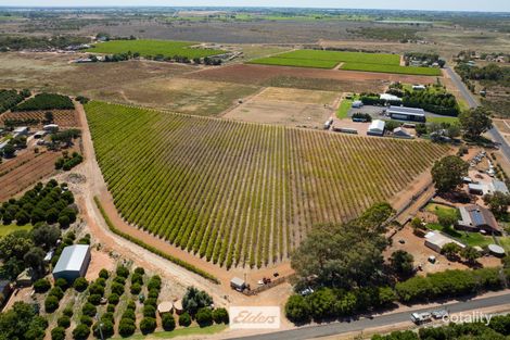 64 Mccarthys Rd, Merbein South, VIC 3505