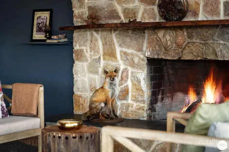 Property photo of 9 Stag Road Allendale VIC 3364