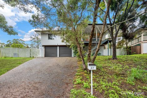 Property photo of 37 Cedarhurst Street The Gap QLD 4061