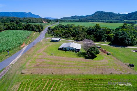 Property photo of 527 Mount Peter Road Edmonton QLD 4869