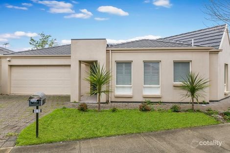 11 Mortimer St, Kurralta Park, SA 5037