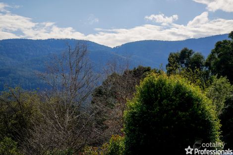 Property photo of 5 Bacchus Crescent Millgrove VIC 3799