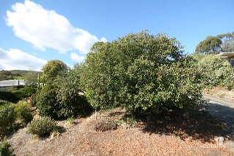 Property photo of 22 Beta Crescent Panorama SA 5041