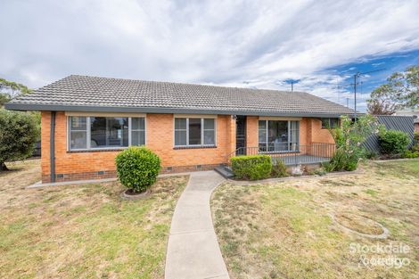 Property photo of 101 Balaclava Road Shepparton VIC 3630