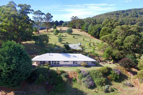 1425 Don Rd, Don Valley, VIC 3139