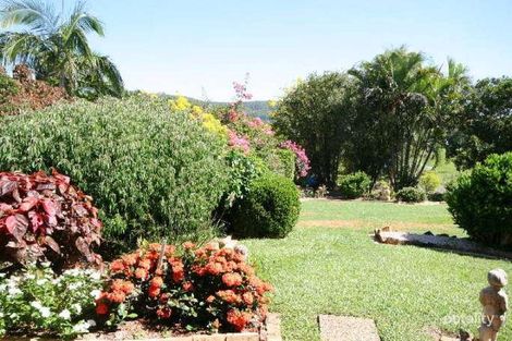 Property photo of 6 Kiah Court Cooran QLD 4569