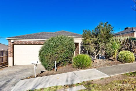 Property photo of 9 Towerhill Avenue Doreen VIC 3754