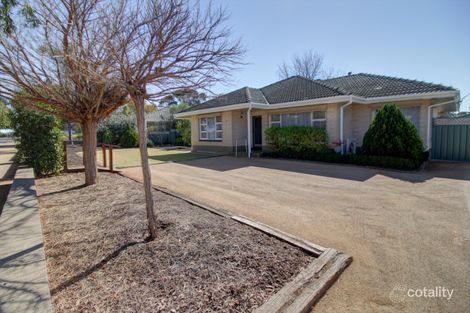 39 Tonkin Ave, Barmera, SA 5345