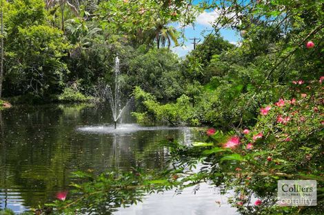 Property photo of 296 Finlayvale Road Finlayvale QLD 4873