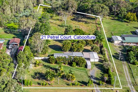 Property photo of 21 Petrel Court Caboolture QLD 4510