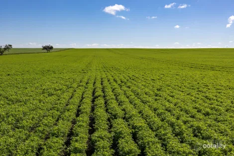 Lot 21 Boundary Rd, Curramulka, SA 5580