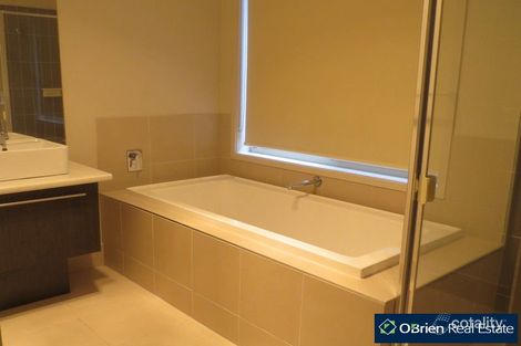 Property photo of 48 Abrus Circuit Cranbourne North VIC 3977