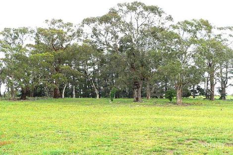Property photo of 481 Spring Terrace Road Forest Reefs NSW 2798
