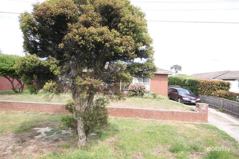 21 Walpole Ave, Belmont, VIC 3216