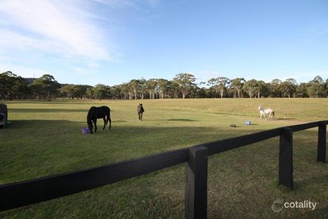 Property photo of 255 Rosemount Road Denman NSW 2328