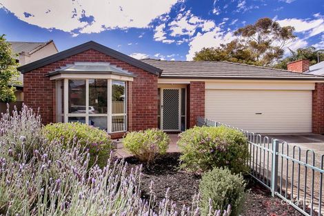 Property photo of 17 Formby Street Hilton SA 5033