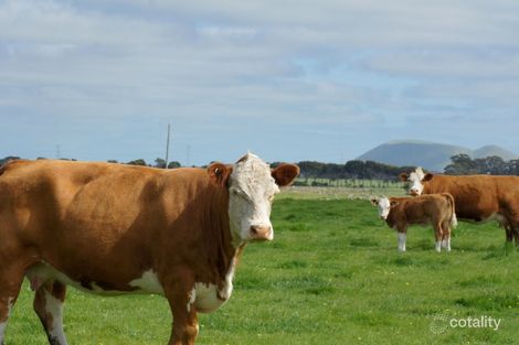 240 Ettrick Estate Rd, Larralea, VIC 3325