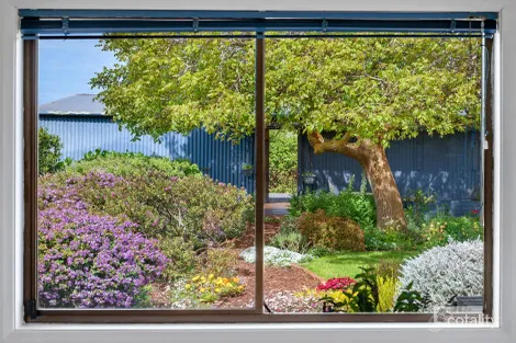 Property photo of 144 Baulds Road Table Cape TAS 7325