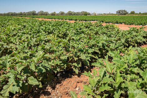 79 Corbett Ave, Buronga, NSW 2739