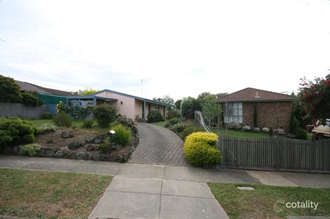 16 Springhurst Cres, Grovedale, VIC 3216