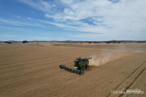 220 Mclennans Rd, Clunes, VIC 3370