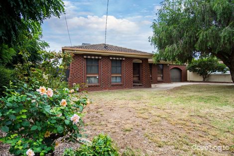 Property photo of 53 Crawford Street Ashmont NSW 2650