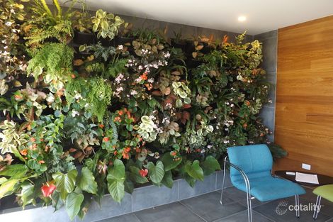 Property photo of 32/46 Regatta Boulevard Wurtulla QLD 4575