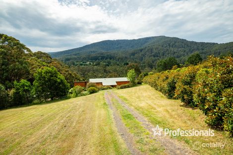 31a Giffords Rd, Warburton, VIC 3799