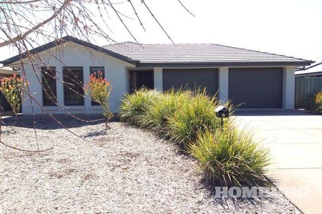 6 Furnell St, Nuriootpa, SA 5355