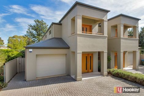 10b Rodney Ave, Tranmere, SA 5073