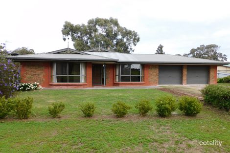 Property photo of 33 Creecoona Terrace Bordertown SA 5268