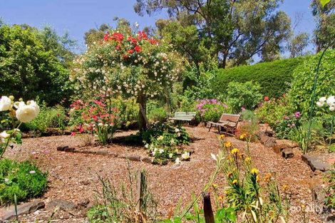 Property photo of 16 Howell Street Crib Point VIC 3919