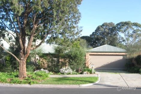 17 Mackenzie St, Cheltenham, VIC 3192