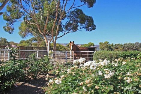 Property photo of 288 Aldinga Beach Road Aldinga SA 5173
