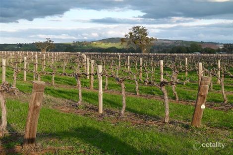 110 Light Pass Rd, Light Pass, SA 5355