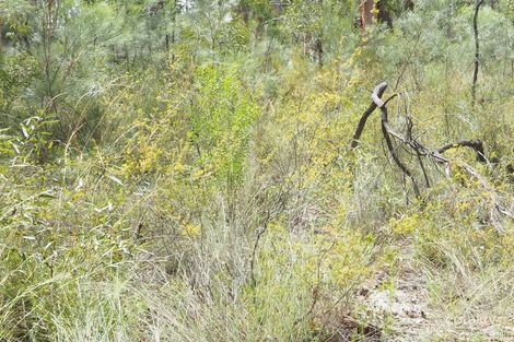 Property photo of 267 Ottley Road Coolatai NSW 2402
