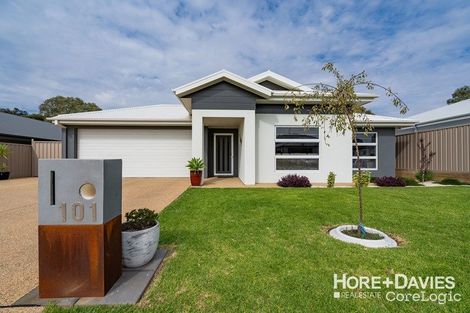 Property photo of 101 Messenger Avenue Boorooma NSW 2650